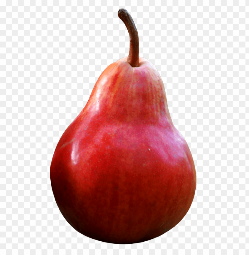 fruits, pear