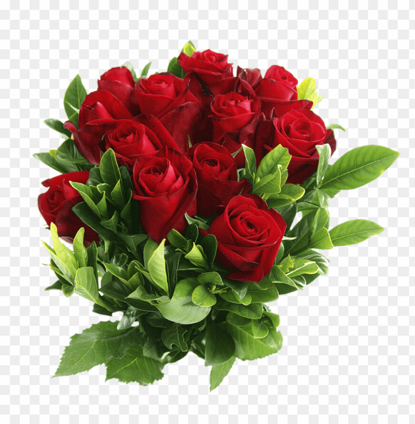 PNG image of red rose with a clear background - Image ID 18660
