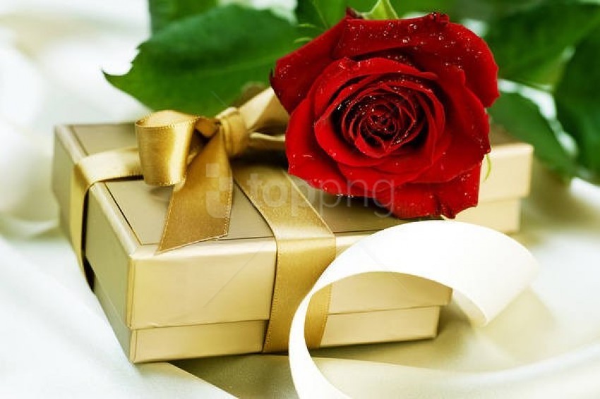 https://toppng.com/uploads/preview/red-rose-and-gift-large-115477148347quef3quyd.jpg