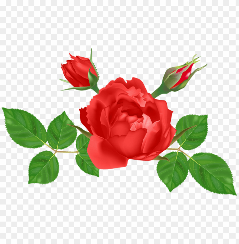 red rose deco