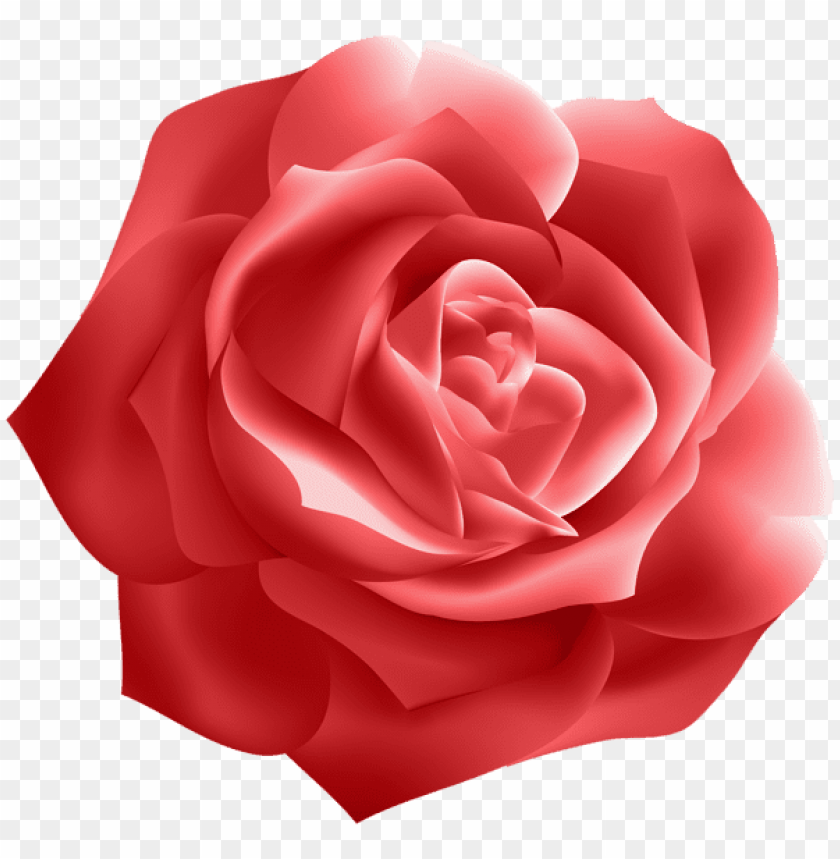 red rose deco