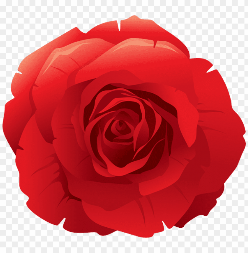 red rose decorative png