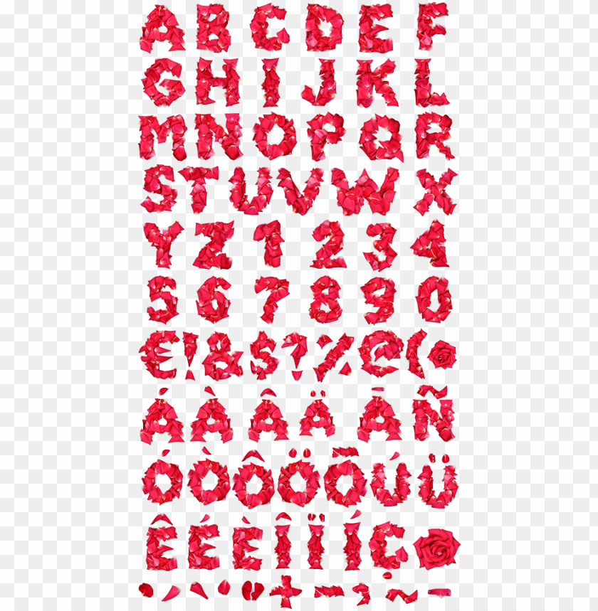 red rose petals font alphabet - petals font PNG image with transparent background@toppng.com