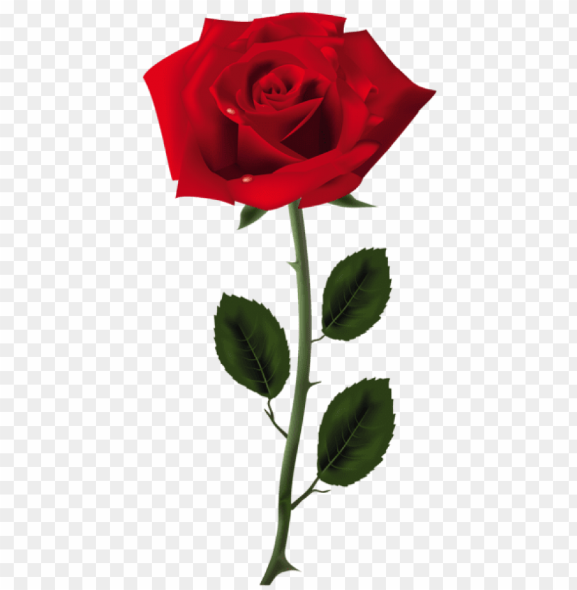 Download red rose png art picture png images background@toppng.com