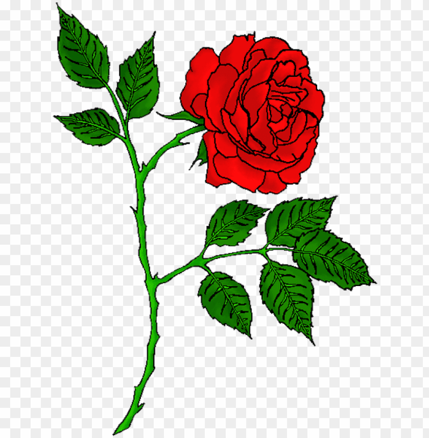 rose tattoo, skull tattoo, rose border, dragon tattoo, rose petals falling, red rose