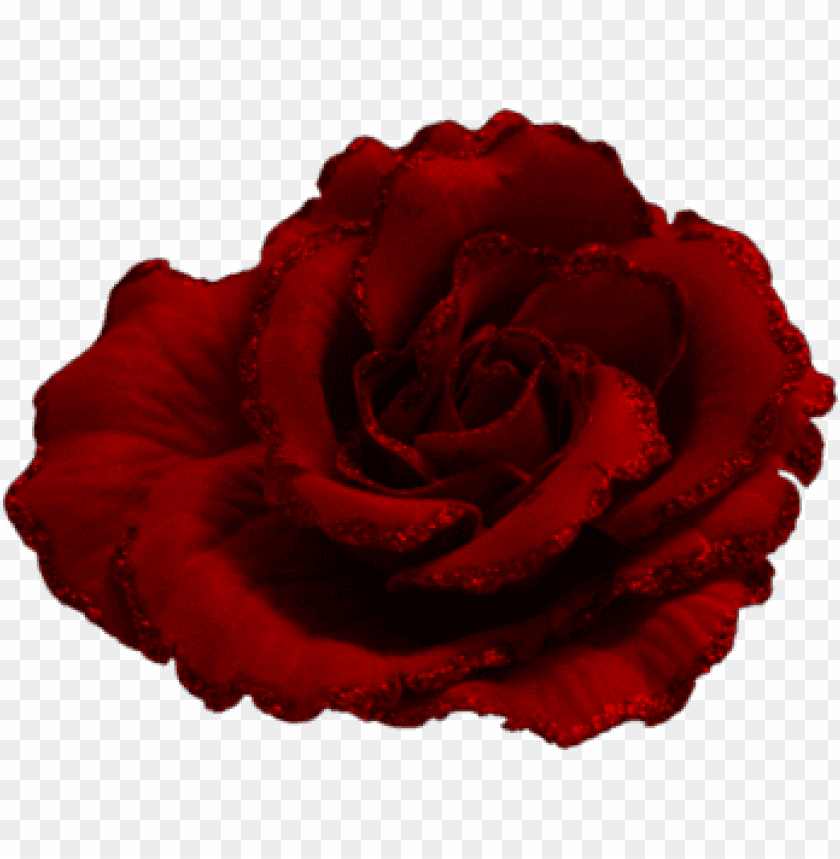 red rose with brokatpicture