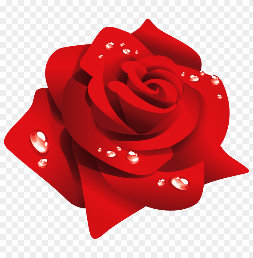 red rose with dew clipart png photo - 32315