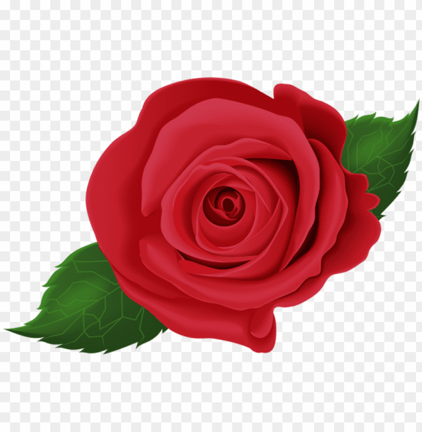 PNG image of red rose with leaves with a clear background - Image ID 44710