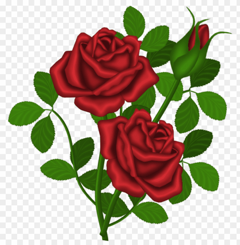 PNG image of red roses with a clear background - Image ID 45185