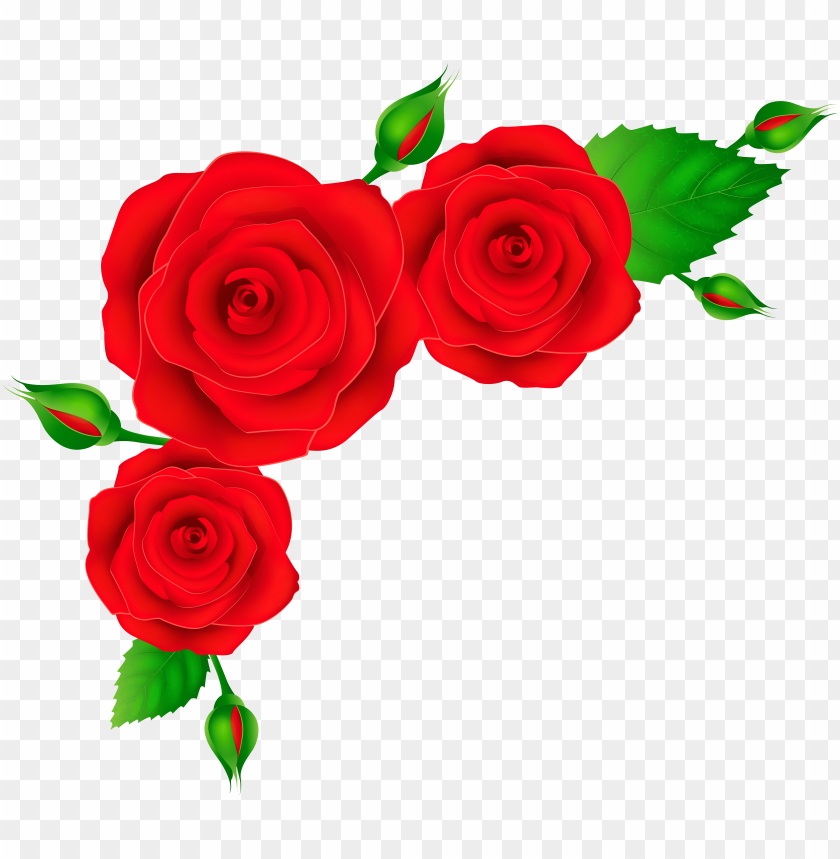 red roses corner transparent png clip art image PNG transparent with Clear Background ID 205811