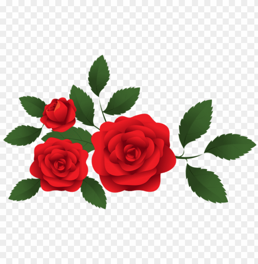 red roses decoration png