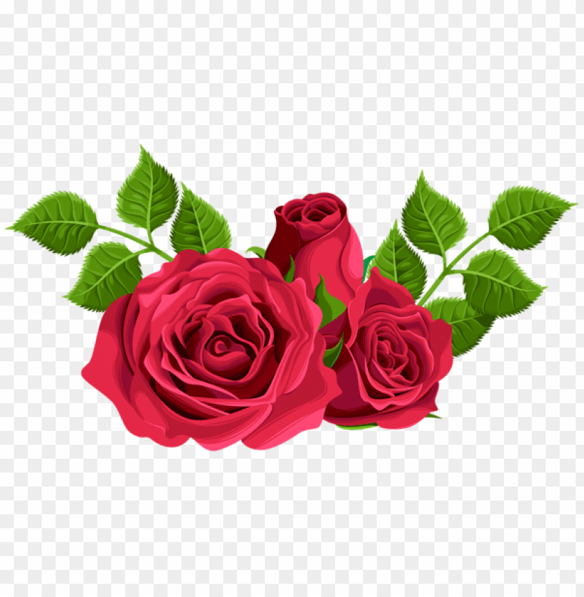 red roses decorative