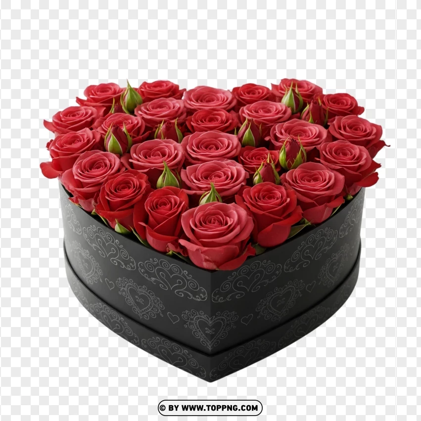 Red Roses In Black Heart Box Romantic Love Gift PNG Transparent Background