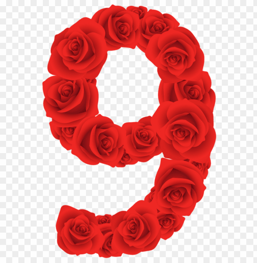 miscellaneous, red roses numbers, red roses nine number, 