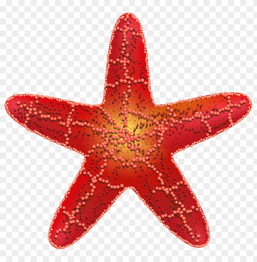 red starfish clipart png photo - 56358