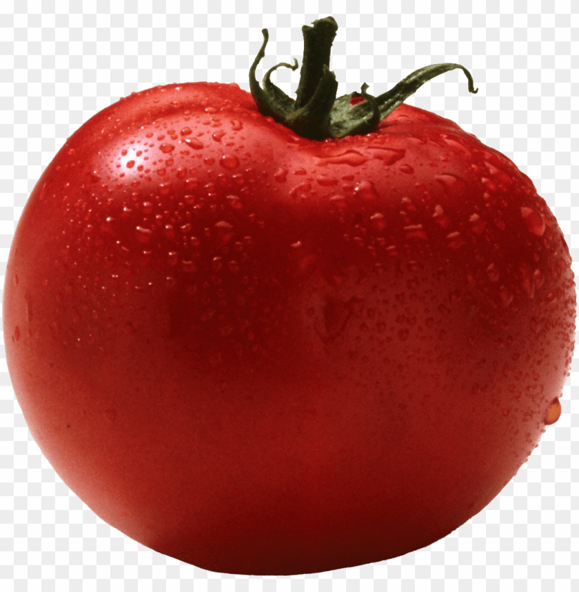tomato plant, tomato, tomato slice