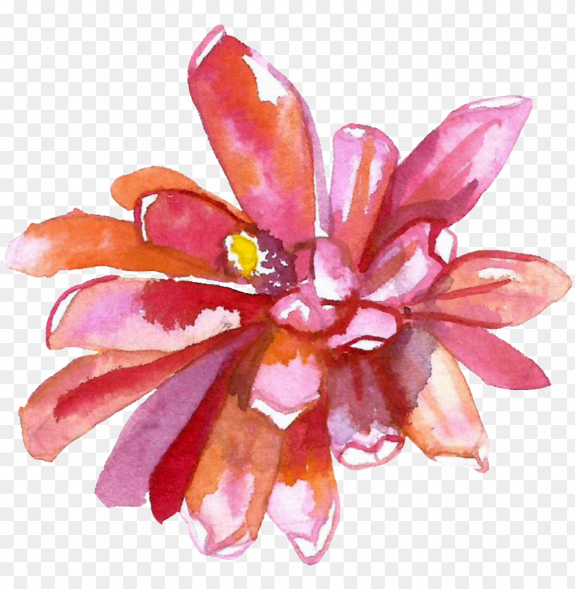Red Watercolor Hand-painted Flowers Transparent - Watercolor Painti PNG Transparent With Clear Background ID 229933