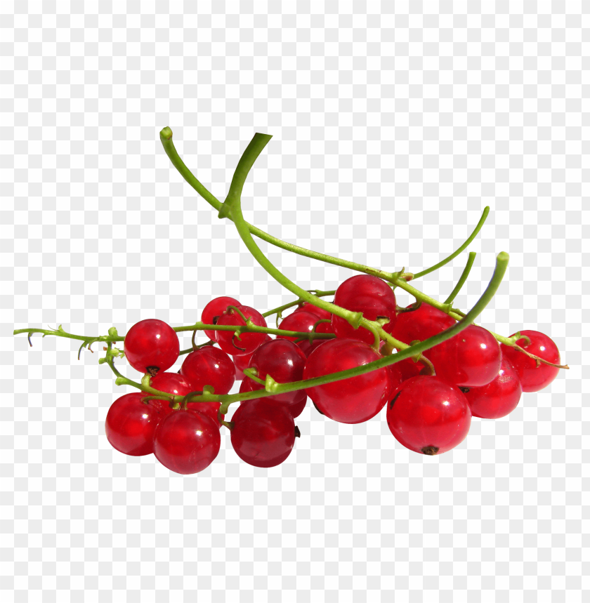 fruits, berry, berries, redcurrant, red currant