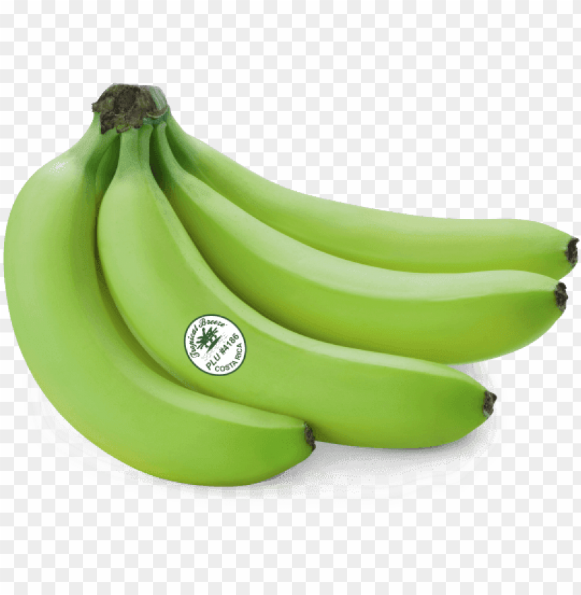 reen banana png green banana transparent PNG transparent with Clear Background ID 282846