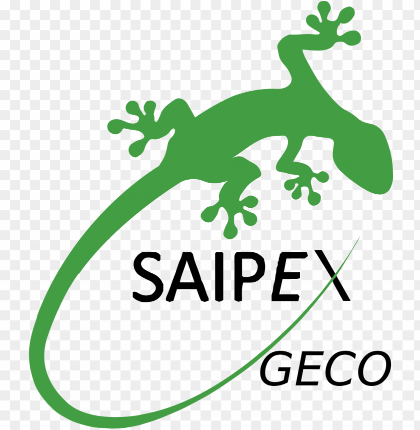 reen gecko lizard vector clipart image marchand de passées le mass market PNG transparent with Clear Background ID 182656