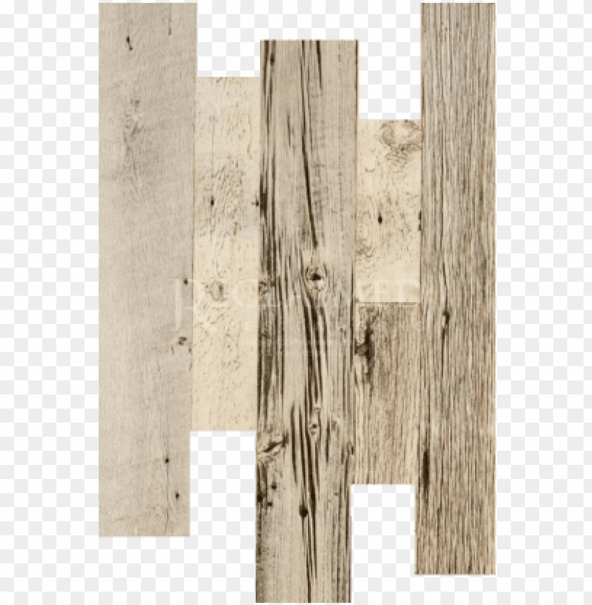 isolated, wood, tree, wood logs, barn owl, lumberjack, wooden