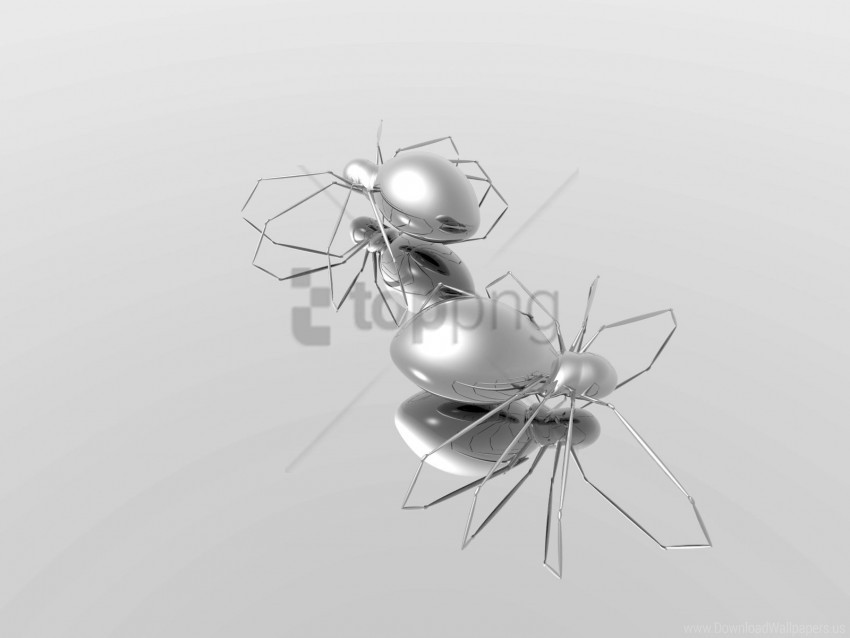 reflection shape silver spiders surface wallpaper background best stock photos - Image ID 141941