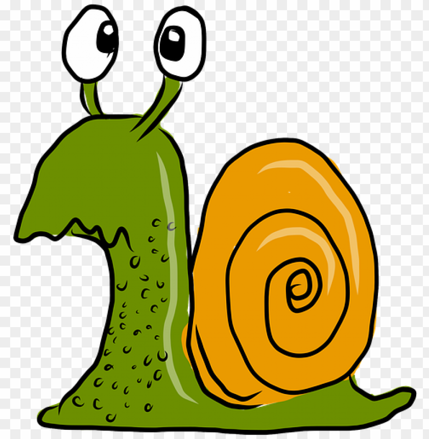 related wallpapers love snails shower curtai PNG transparent with Clear Background ID 440944