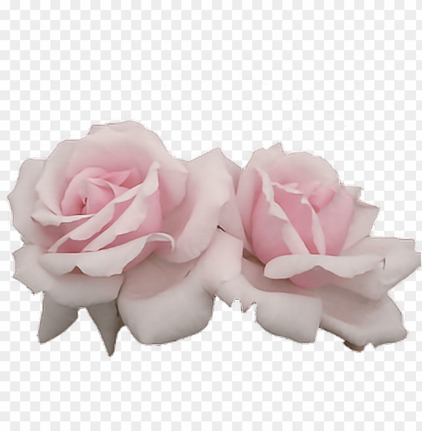 Report Abuse Pink Aesthetic Flowers Png Image With Transparent Background Toppng