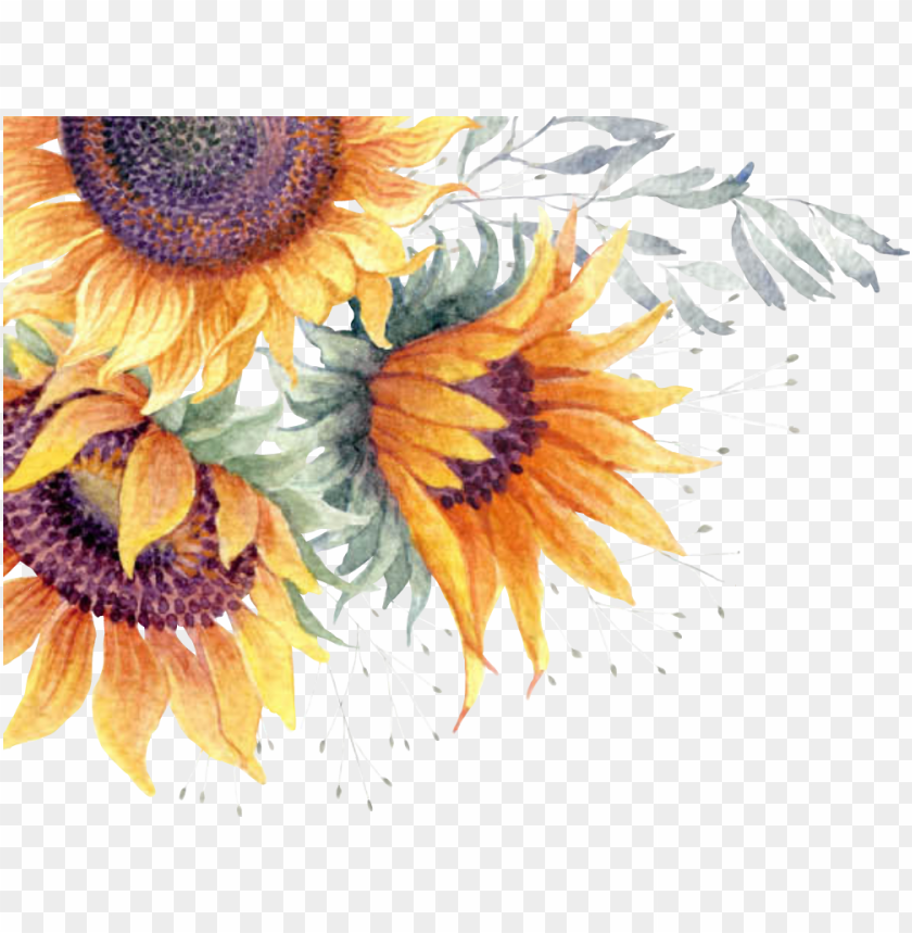business, watercolor flower, flower, water color, pattern, watercolor flowers, plant