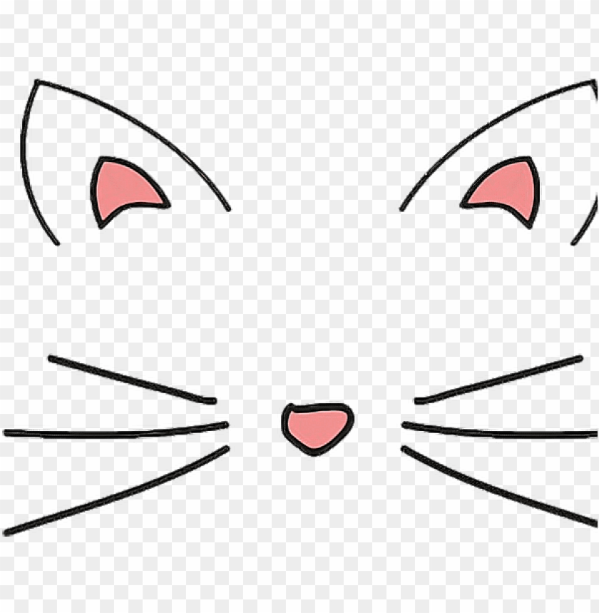 cat whiskers transparent tumblr