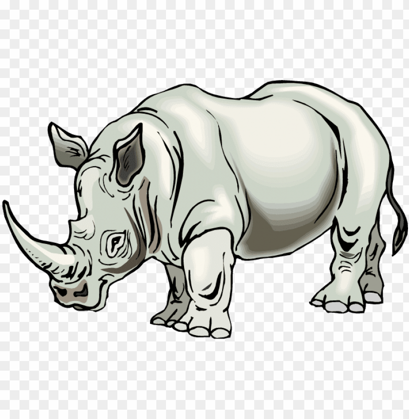 animal, illustration, wildlife, food, elephant, graphic, rhinoceros