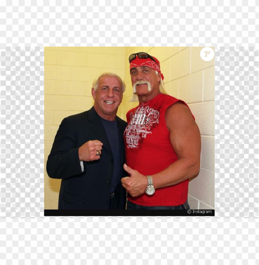 Ric Flair Clipart Ric Flair Hulk Hogan Professional - Hulk Hogan Ric Flair PNG Transparent With Clear Background ID 443814