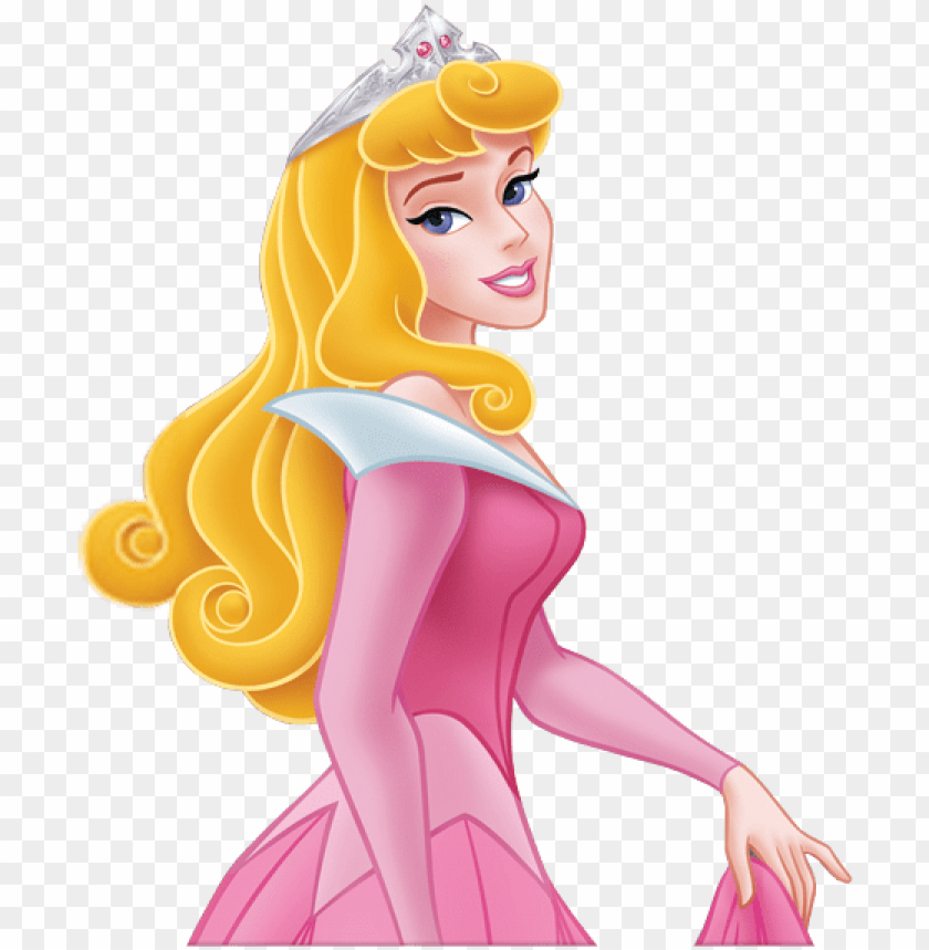 Disney Princess Aurora Cinderella Belle Tiana Flowers Edible Cake Topp – A  Birthday Place