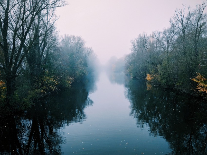 river, fog, trees, bushes, reflection