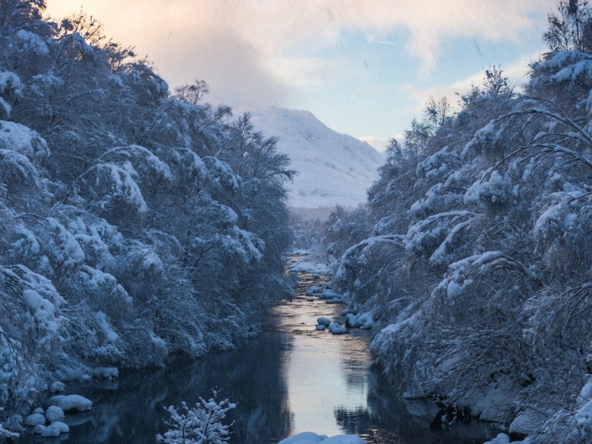 river, snow, current, mountain, trees, sky