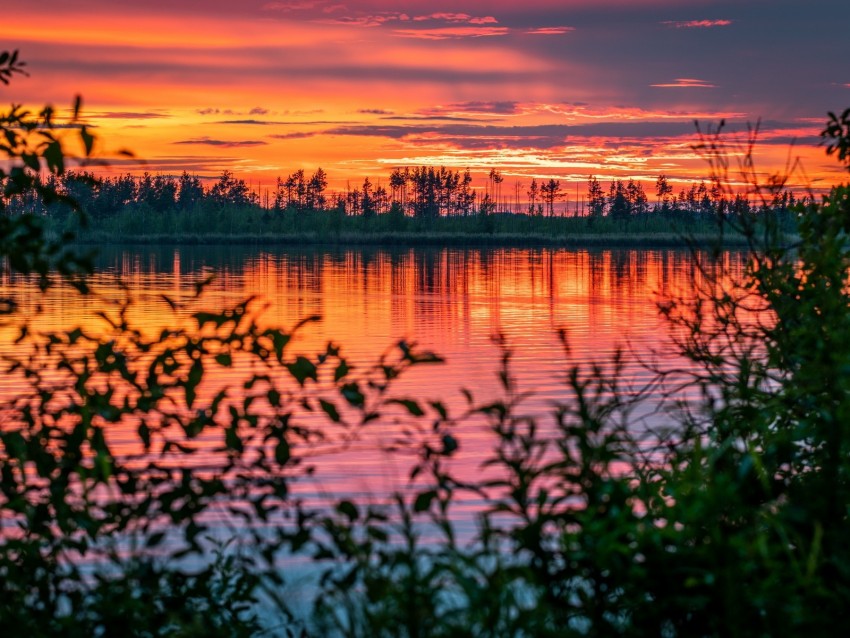 river, sunset, horizon, branches, leaves, blur