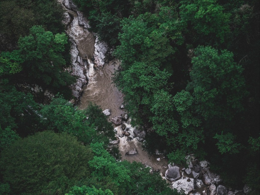 river, trees, aerial view, stones, current