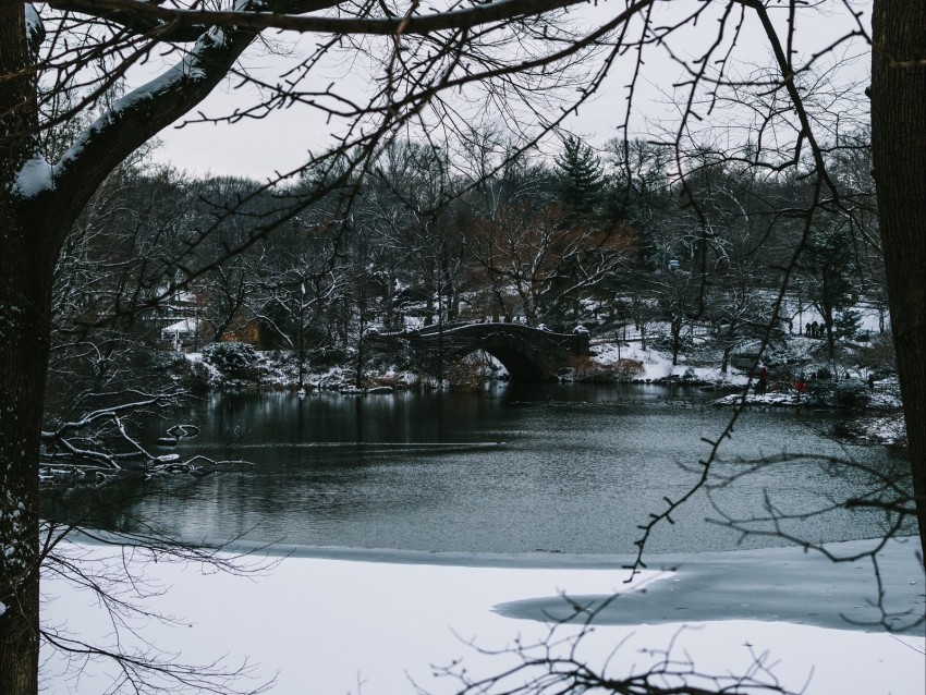 river, trees, bridge, branches, snow, park