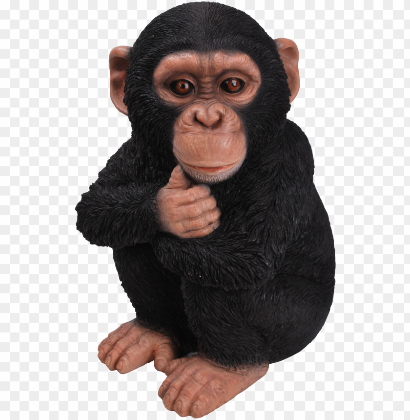 Rl Baby Chimpanzee F Hi Line Gift Ltd Baby Monkey Statue PNG Image With Transparent Background