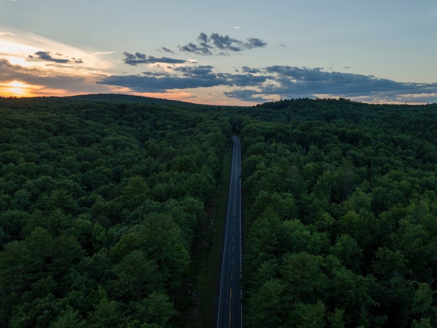 road, aerial view, forest, horizon, sunset