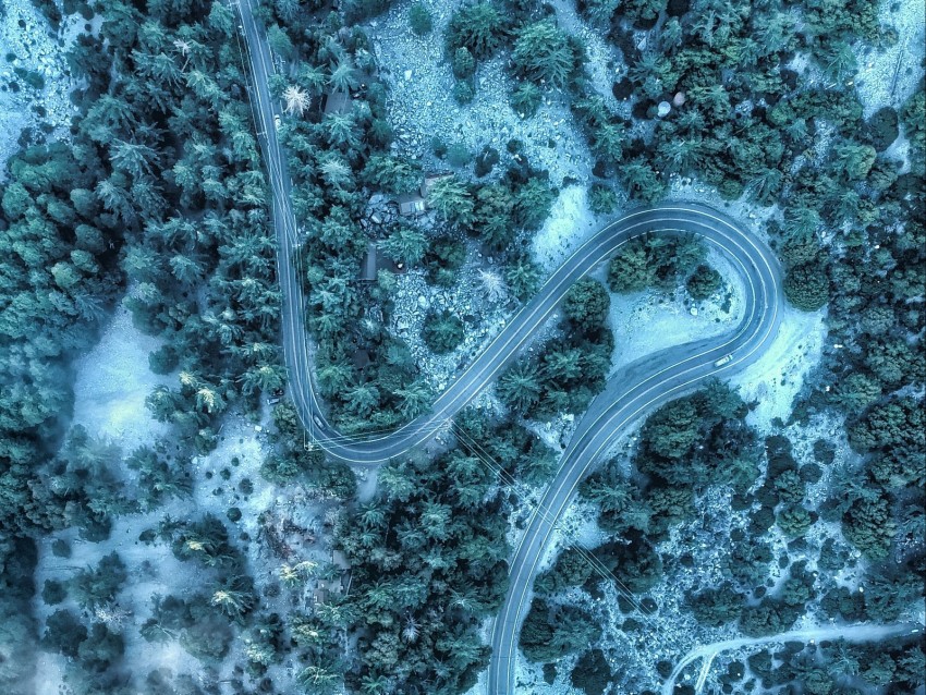 road, aerial view, winding, trees, treetops