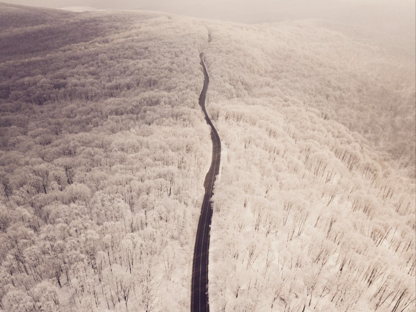road, aerial view, winter, snow, forest, trees