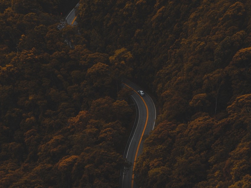 road, autumn, aerial view, foliage, forest