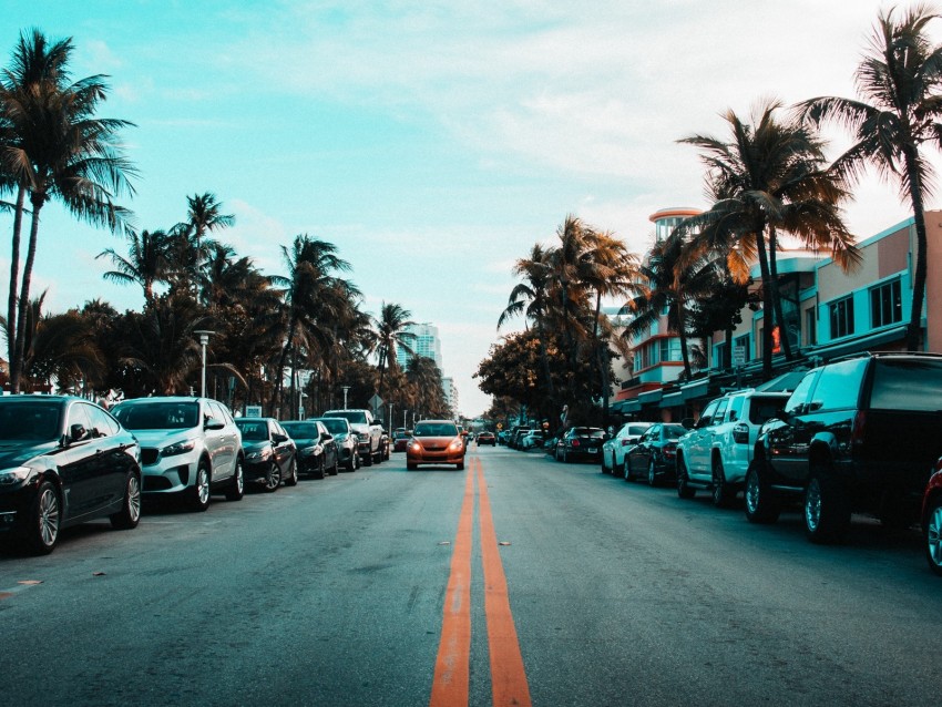 road, cars, markings, palm trees, sky