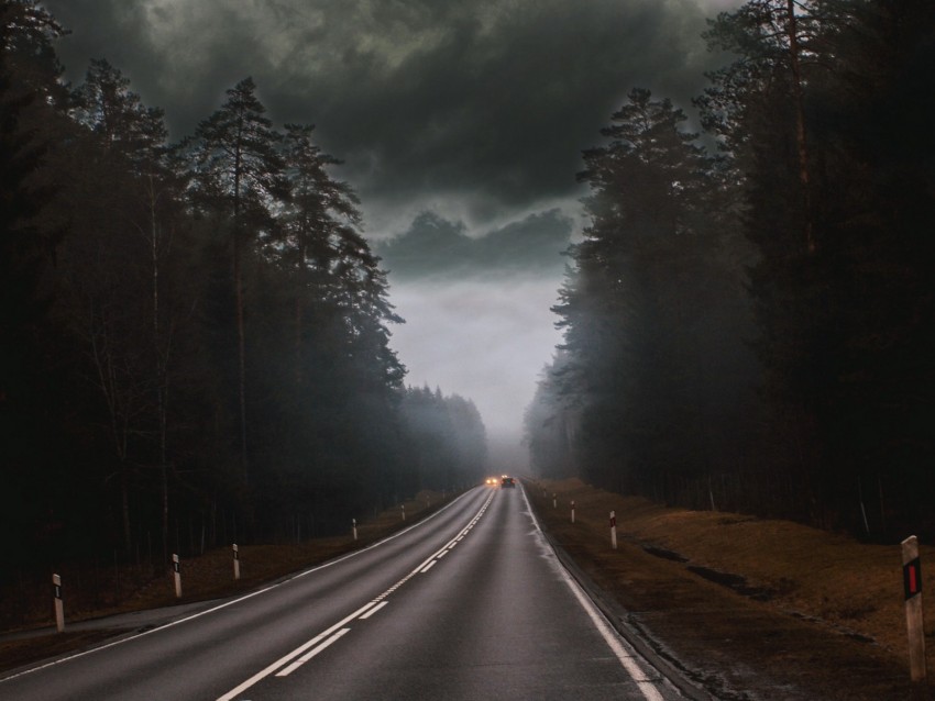 road, fog, clouds, overcast, cars, trees