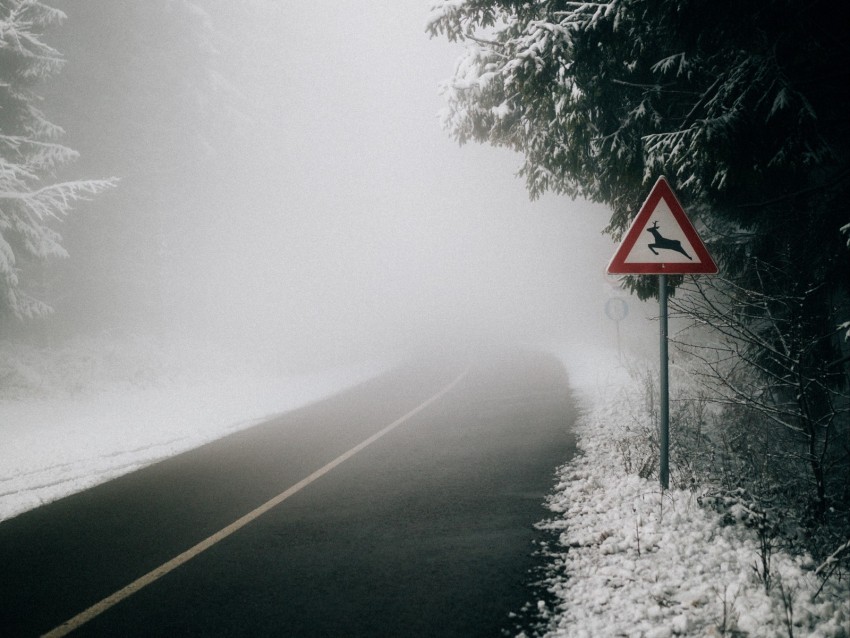 road, fog, sign, asphalt, branches