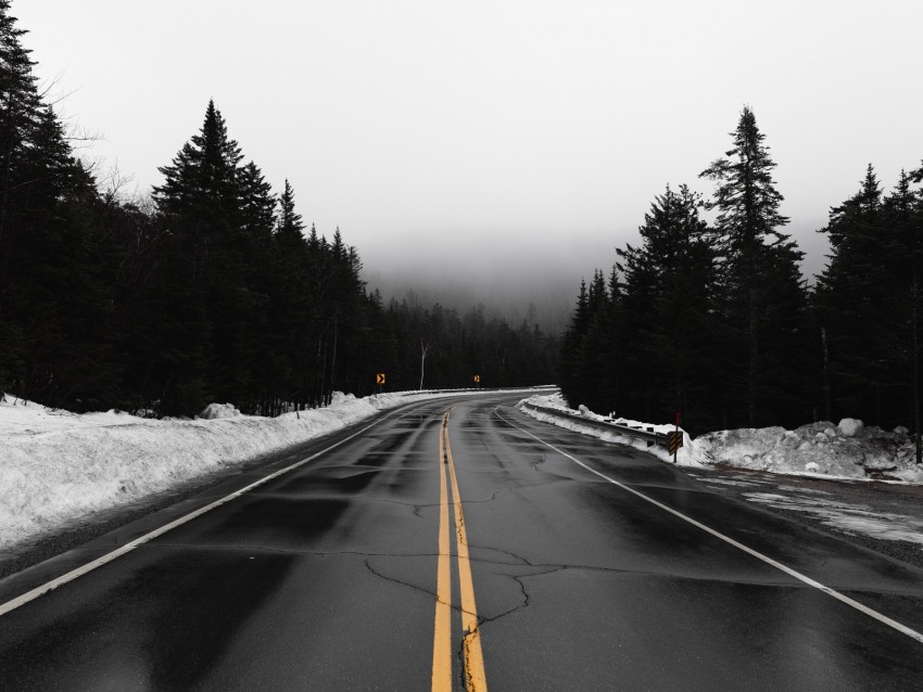 road, fog, turn, snow, overcast