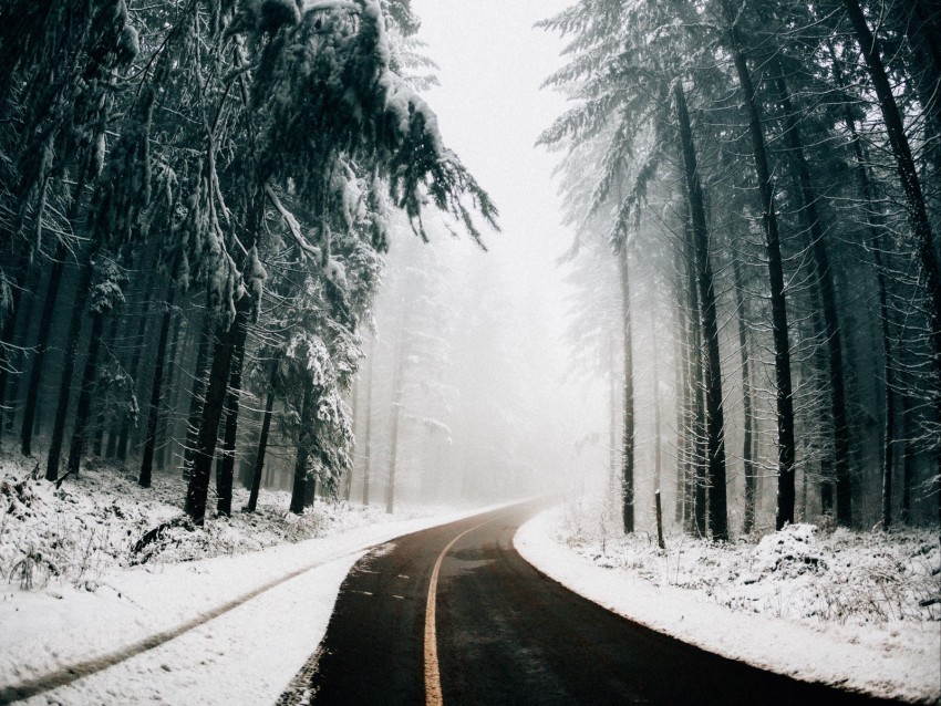 road, fog, winter, trees, turn, asphalt