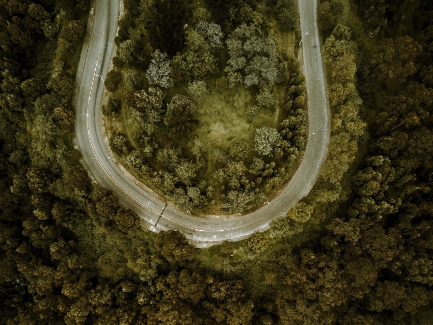 road, forest, aerial view, turn, winding