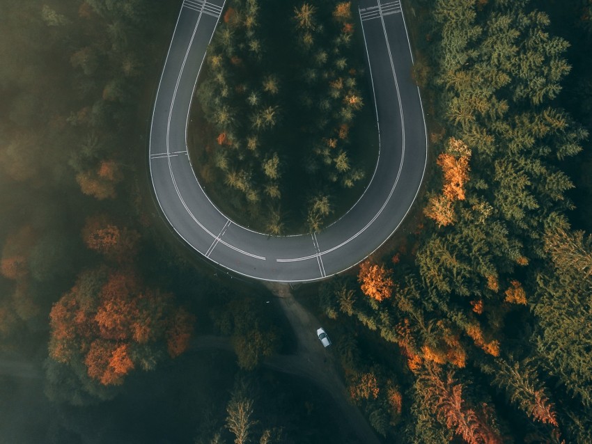 road, forest, aerial view, winding, turn